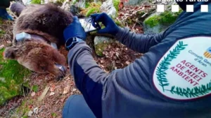 1616961044171_1200x677