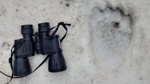 20230314_153639_HDR-01