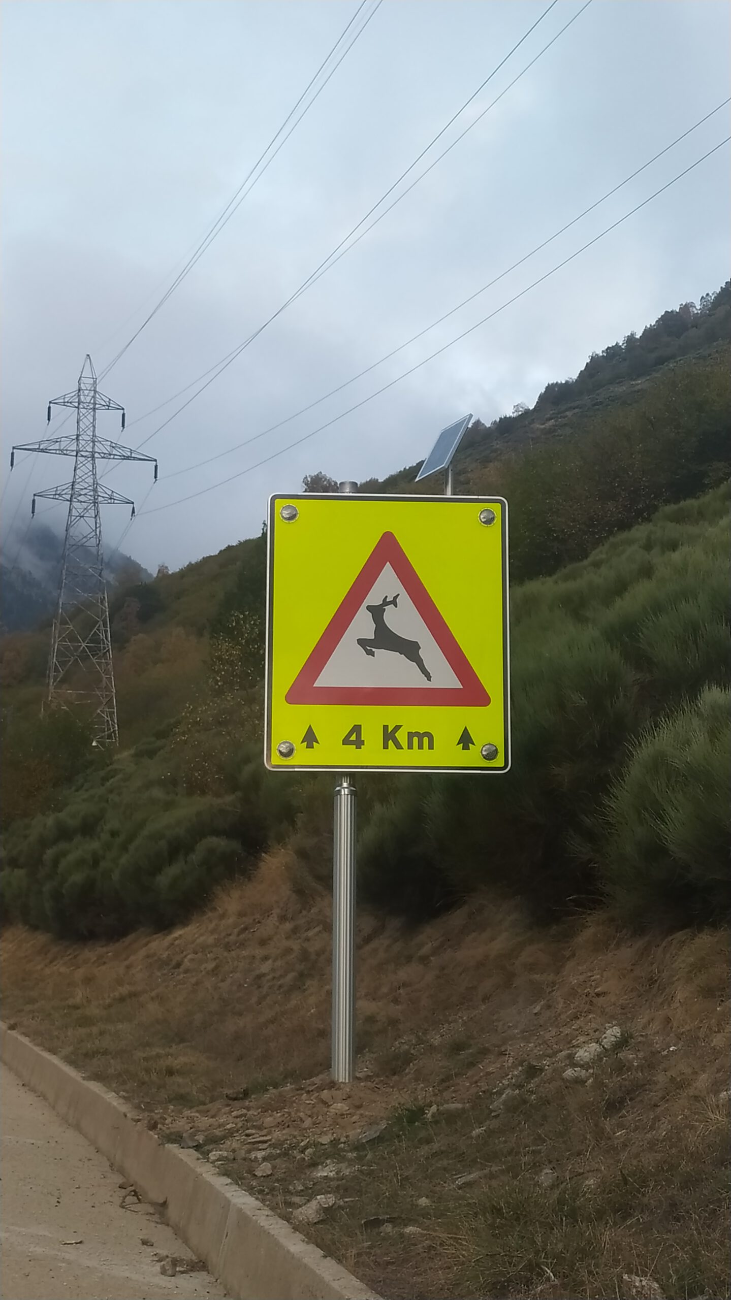 Des panneaux sont installés au passage faunique fréquenté par l'ours Bonaigua
