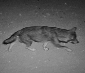 Captura-de-pantalla-2023-11-13-201205