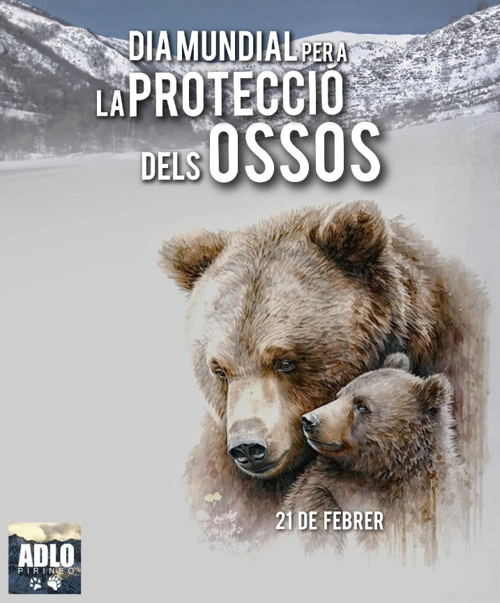 Dia Mundial para la Protección de los Osos