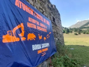 IMG_20240818_214116_564