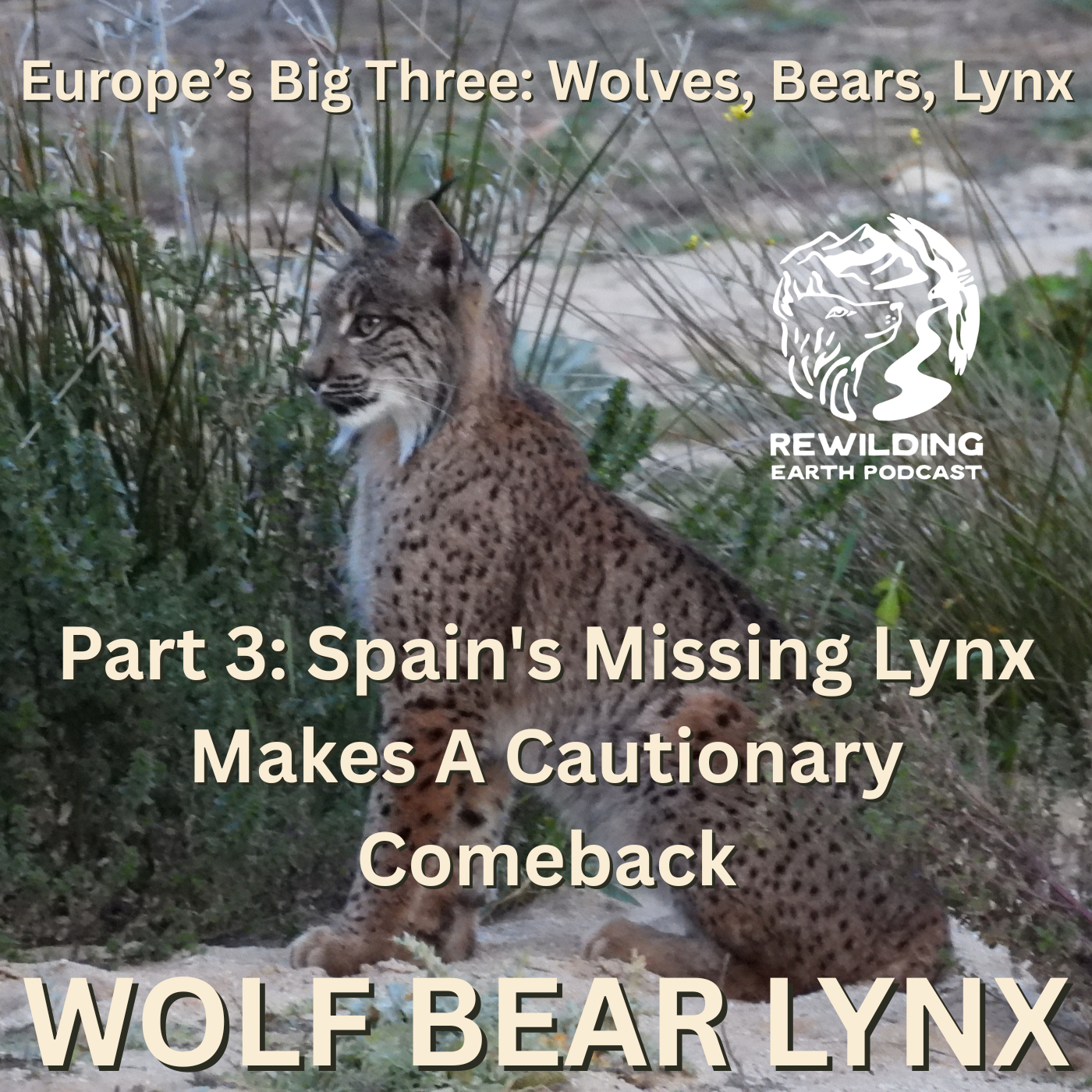 Rewilding Institute. Europe’s Big Three: Wolves, Bears and Lynx