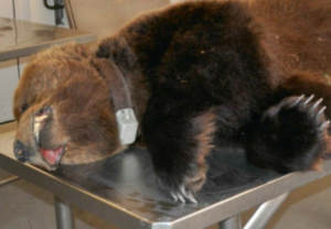 Captura de pantalla 2026-04-21 193924